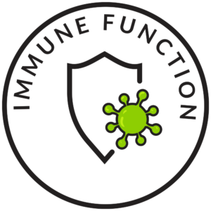 Immune Health Bundle