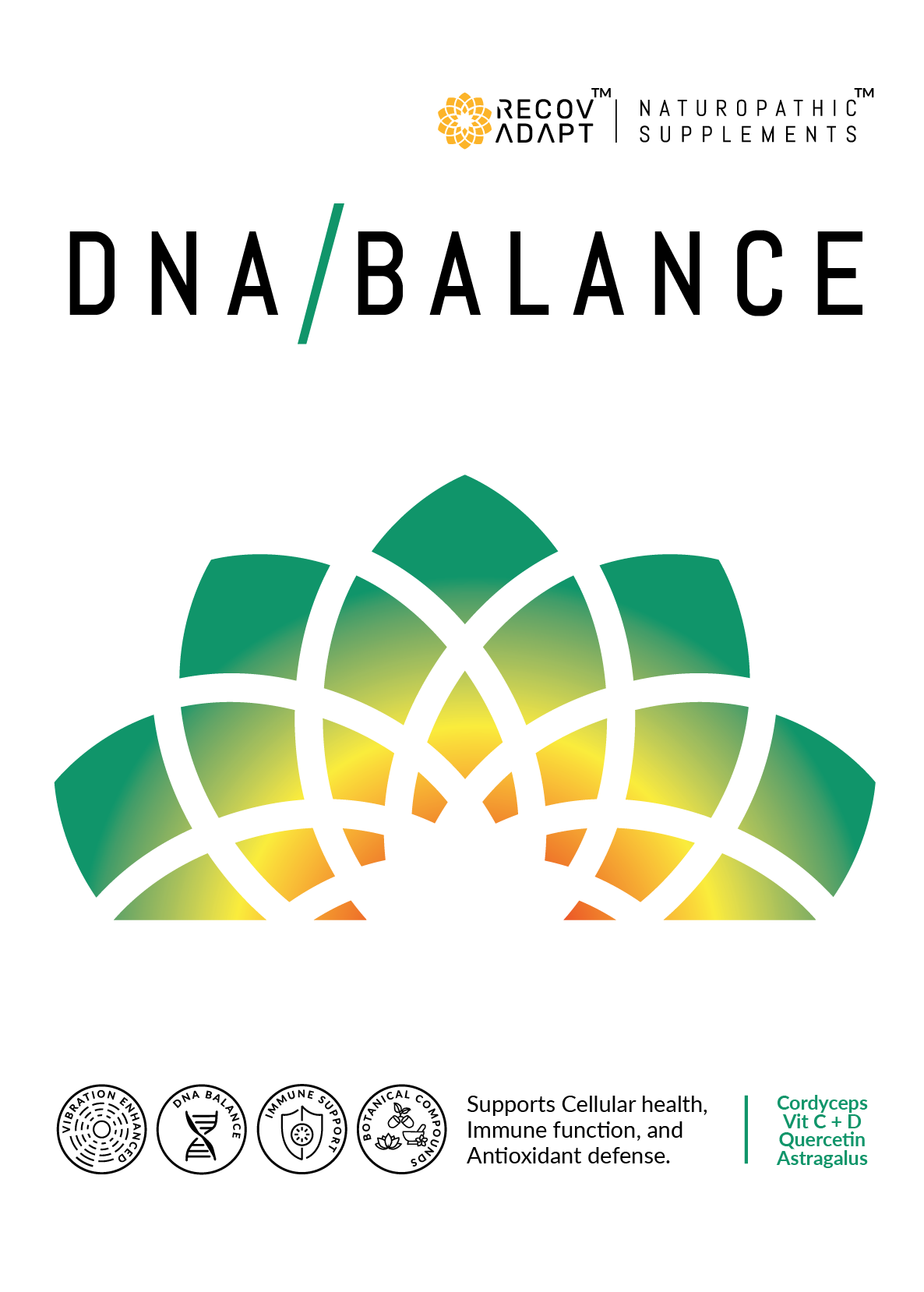 dna small template front no lines